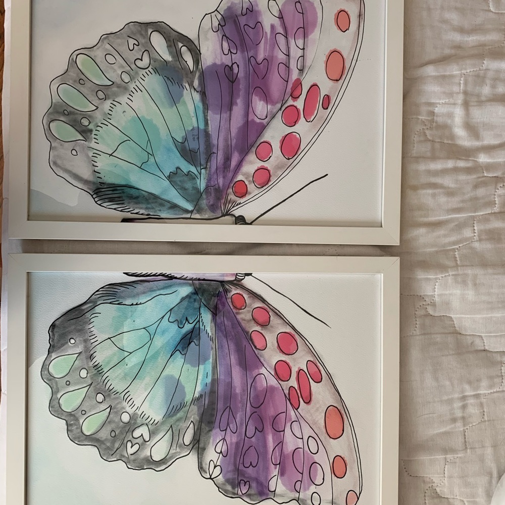 Pottery Barn framed butterfly prints
